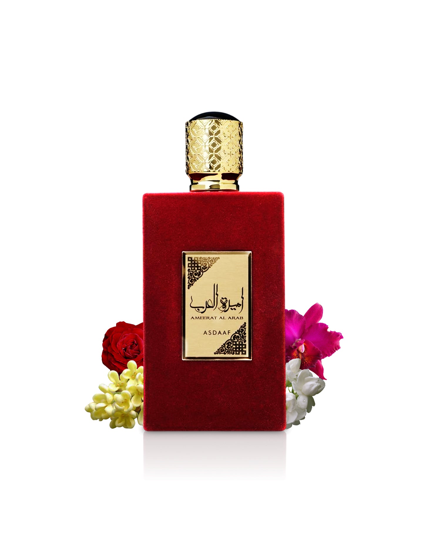 ameerat al arab by asdaaf perfumes bottle surrounded with ingredients like rose and jasmine shows from behind the bottle  against white background