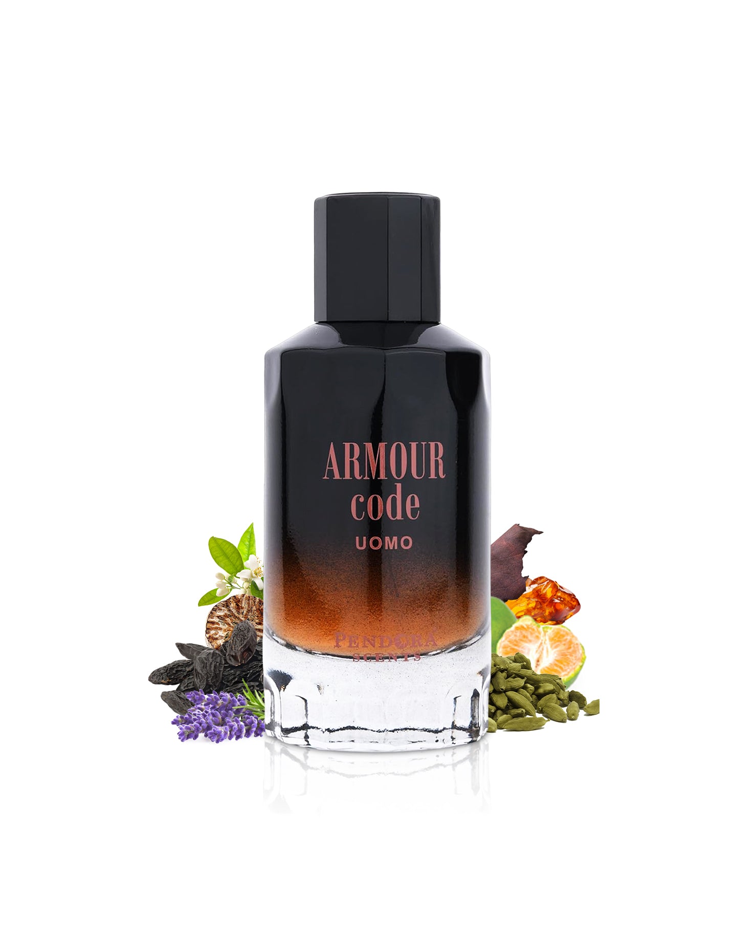 paris corner armour code uomo perfume bottle surrounded with it's fragrance notes like iris and cardamom shows from behind the bottle against white background