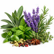 Aromatic Notes fragrance note