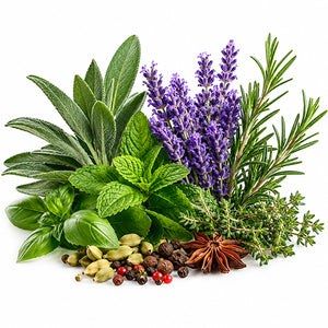 A botanical arrangement of fresh culinary herbs and spices on a white background, including purple lavender flowers, green sage, mint, basil, rosemary, thyme, cardamom pods, whole spices, and a star anise.