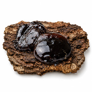 Two balsamic drop pieces resting on a rough natural cork or bark slab, photographed on a clean white background.
