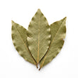 Bay Leaf fragrance note