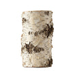 Birch fragrance note