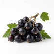 Black Currant fragrance note