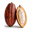 Cacao Pod fragrance note