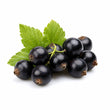Cassis fragrance note