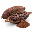 Cocoa fragrance note
