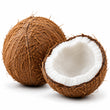 Coconut fragrance note