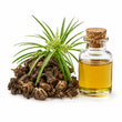 Cypriol Oil or Nagarmotha fragrance note