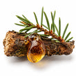Fir Resin fragrance note