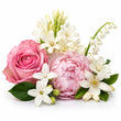 Floral Notes fragrance note