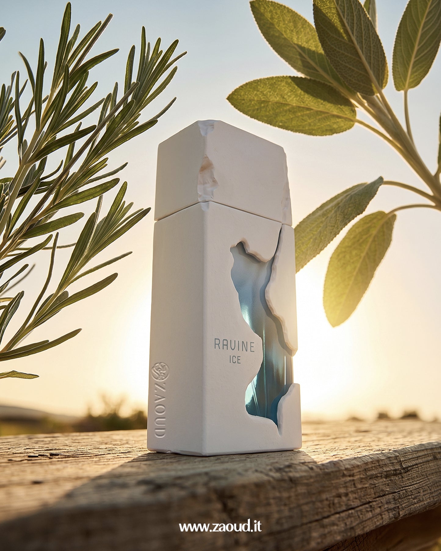 French Avenue Ravine Ice perfume bottle with herbal leaves and sunlight, showcasing a clean mineral citrus aromatic fragrance.