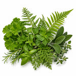 Green notes fragrance note