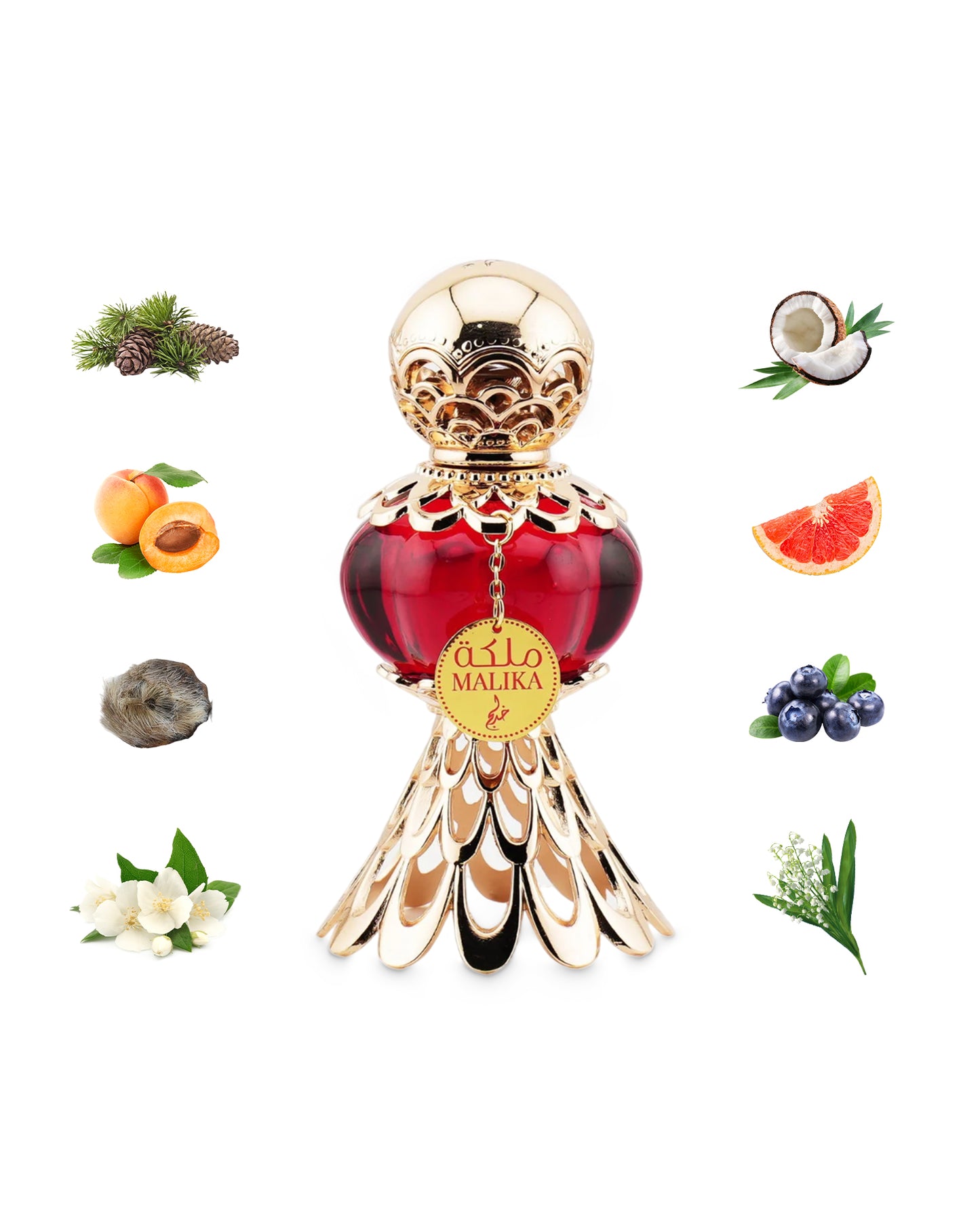 khadlaj malika red perfume oil bottle surrounded with its ingredients like peach and coconut shows from behind the bottle  against white background