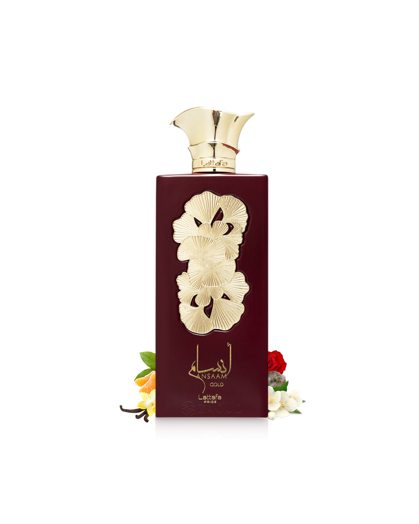 lattafa ansaam gold perfume bottle surrounded with fragrance notes like vanilla and jasmine shows against white background