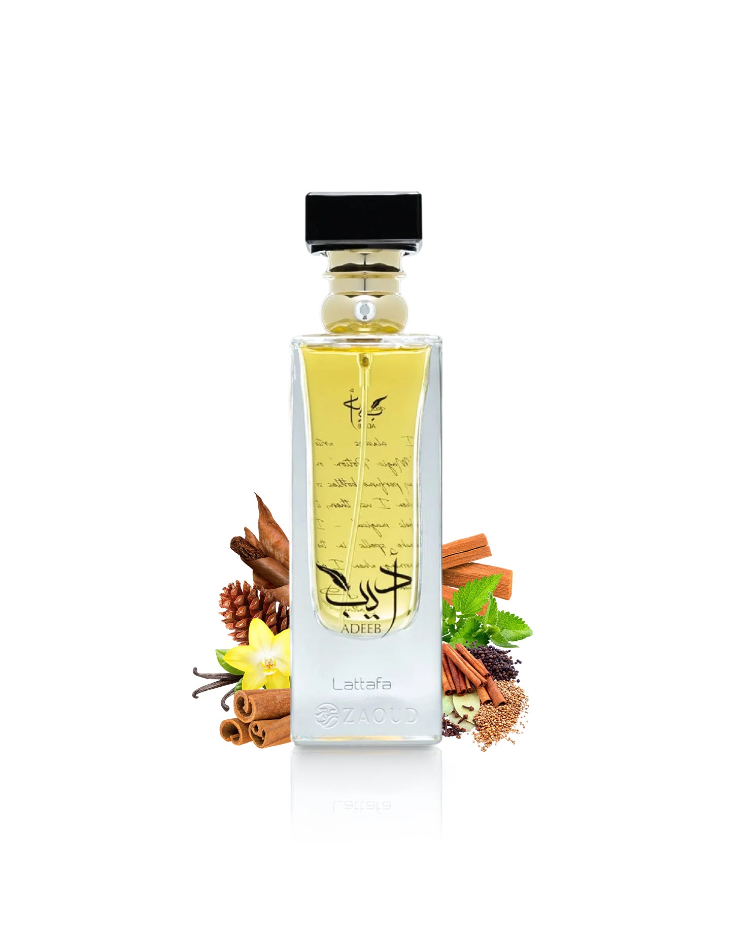 lattafa adeeb perfume bottle surrounded with fragrance notes like spices shows against white background