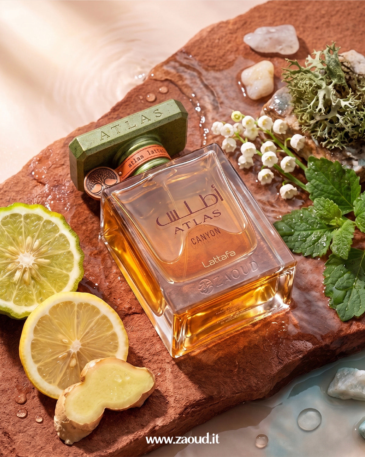 Lattafa Atlas Canyon Eau de Parfum bottle styled with lemon slices, ginger, mint and white flowers on wet stone