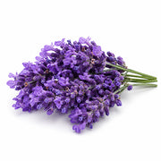Lavender fragrance note