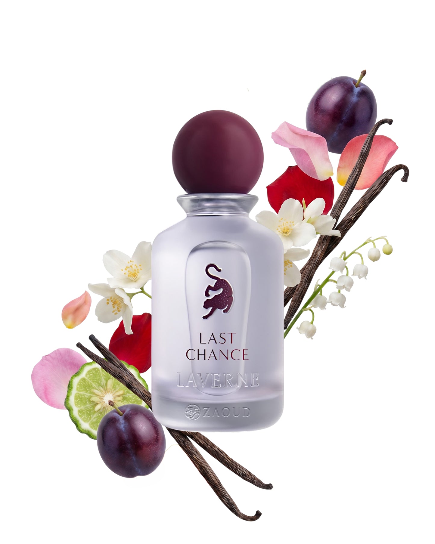 laverne last chance perfume bottle surrounded by fragrance notes like plum and flowers shows against white background
