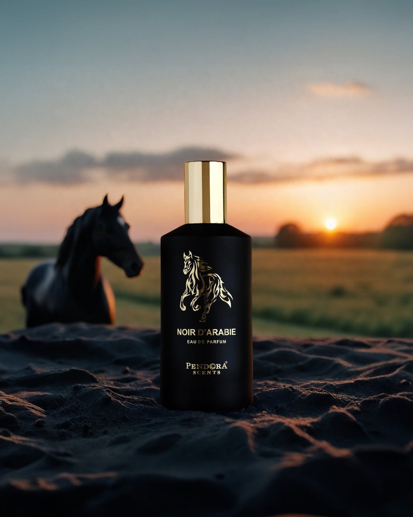 Noir d'arabie edp black perfume bottle over golden printed horse image photograph against sunset at green field with a arabian horse at background