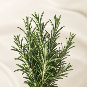 Rosemary