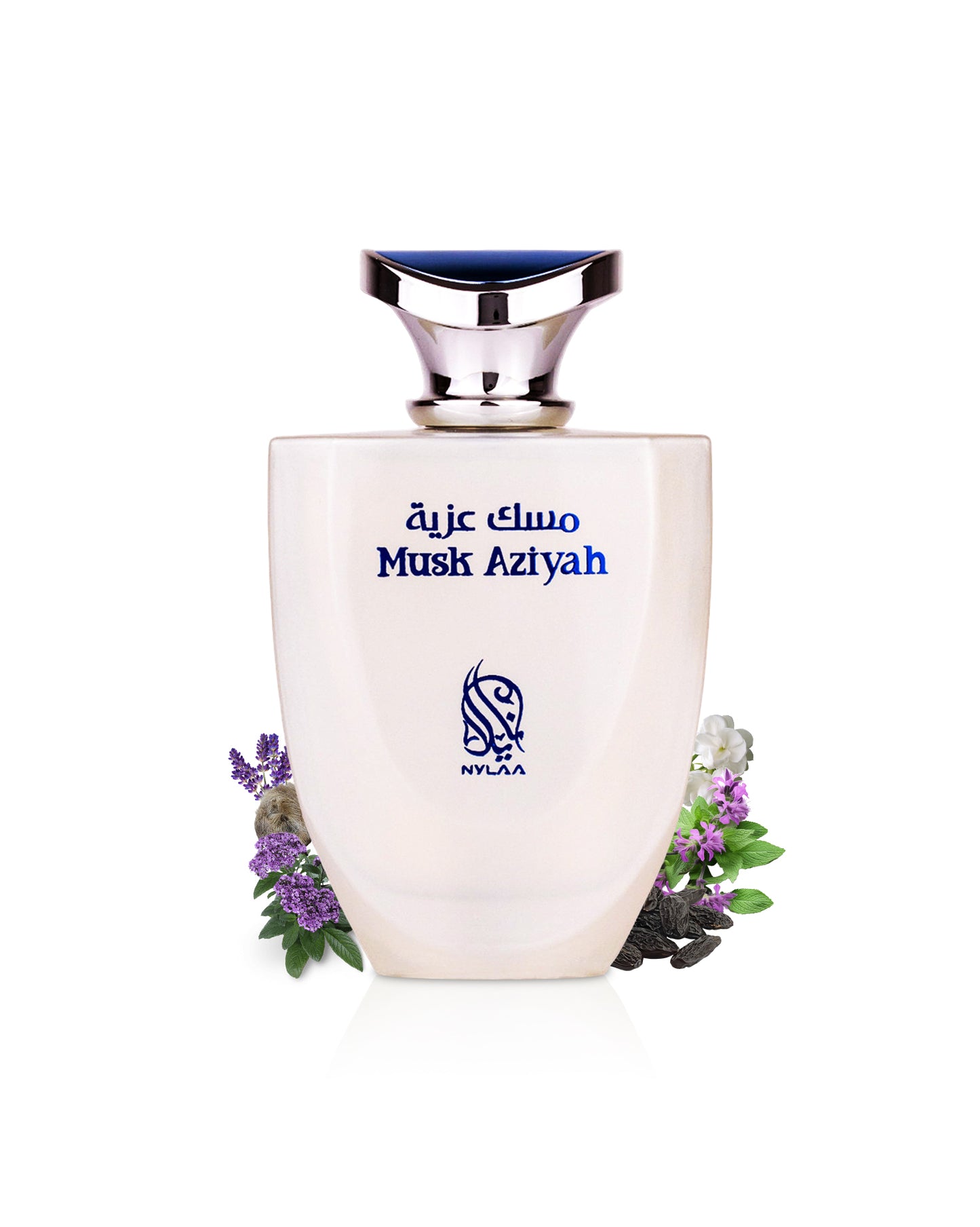 nylaa musk aziyah perfume bottle surrounded by fragrance notes like tonka beans shows against white background