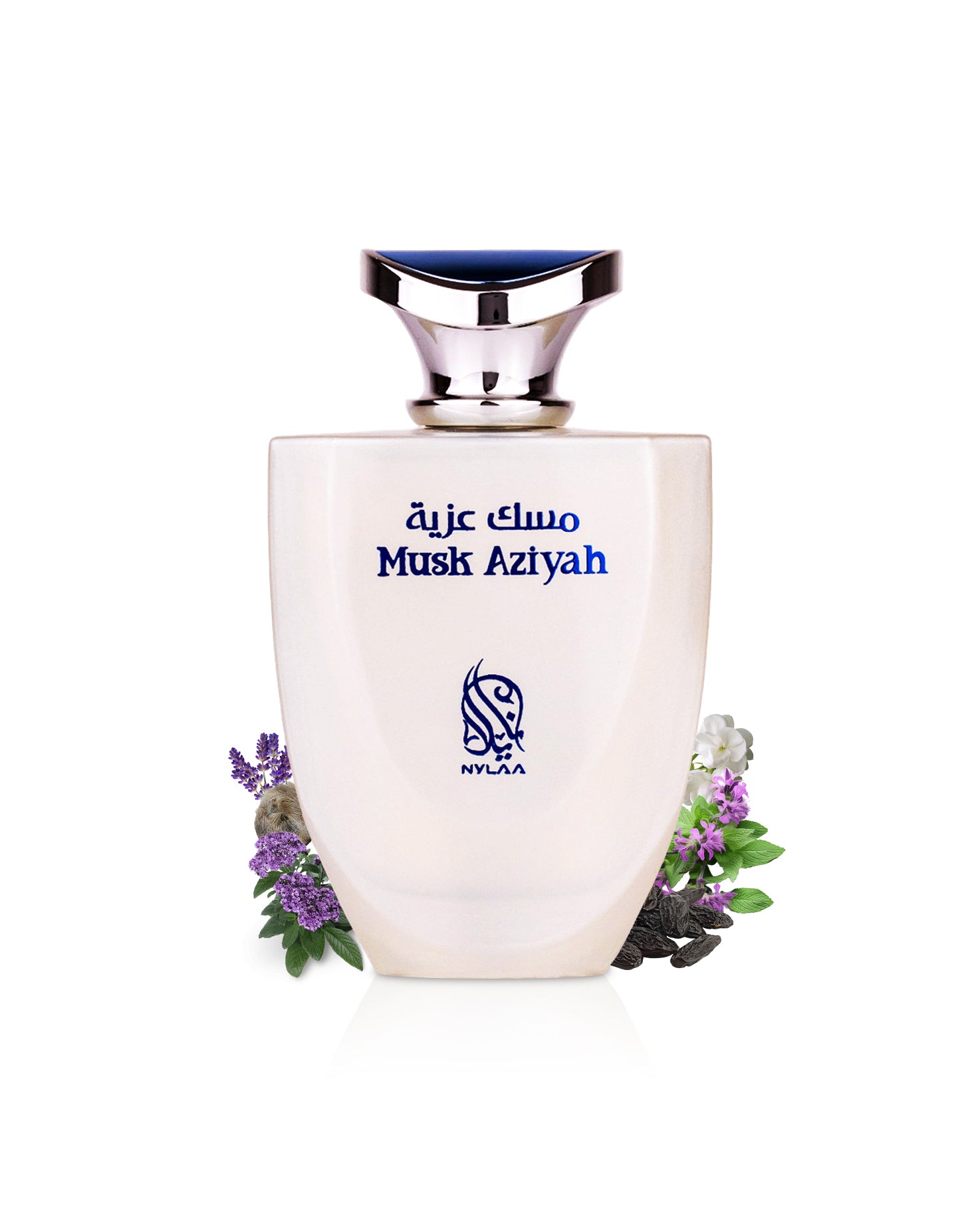 nylaa musk aziyah perfume bottle surrounded by fragrance notes like tonka beans shows against white background