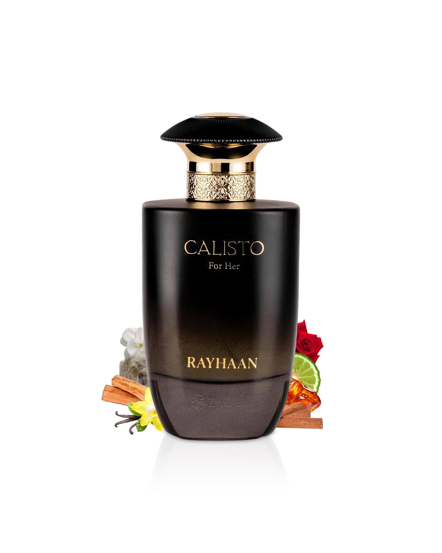 Black perfume bottle with gold cap labeled 'Calisto for Her' by Rayhaan surrounded by ingredients on a white background.