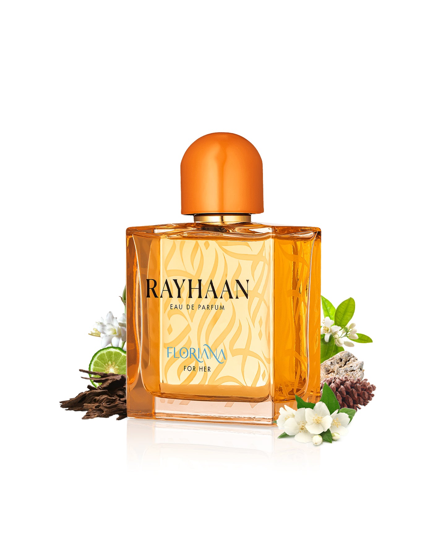 rayhaan floriana perfume bottle surrounded with its ingredients like citrus and jasmine shows from behind the bottle against white background