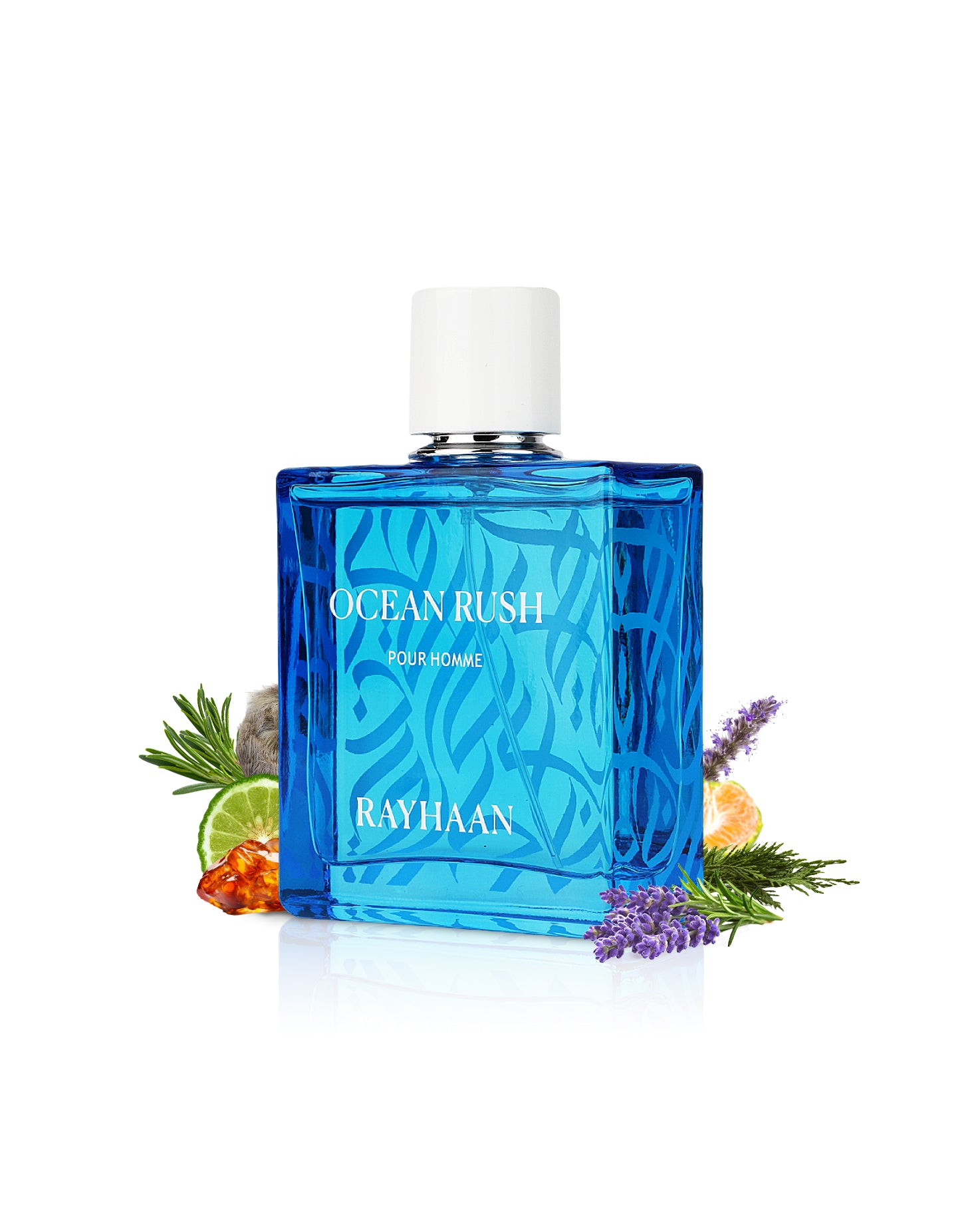 rayhaan ocean rush perfume bottle surrounded with its ingredients like amber and citrus beside many others shows from behind the bottle  against white background