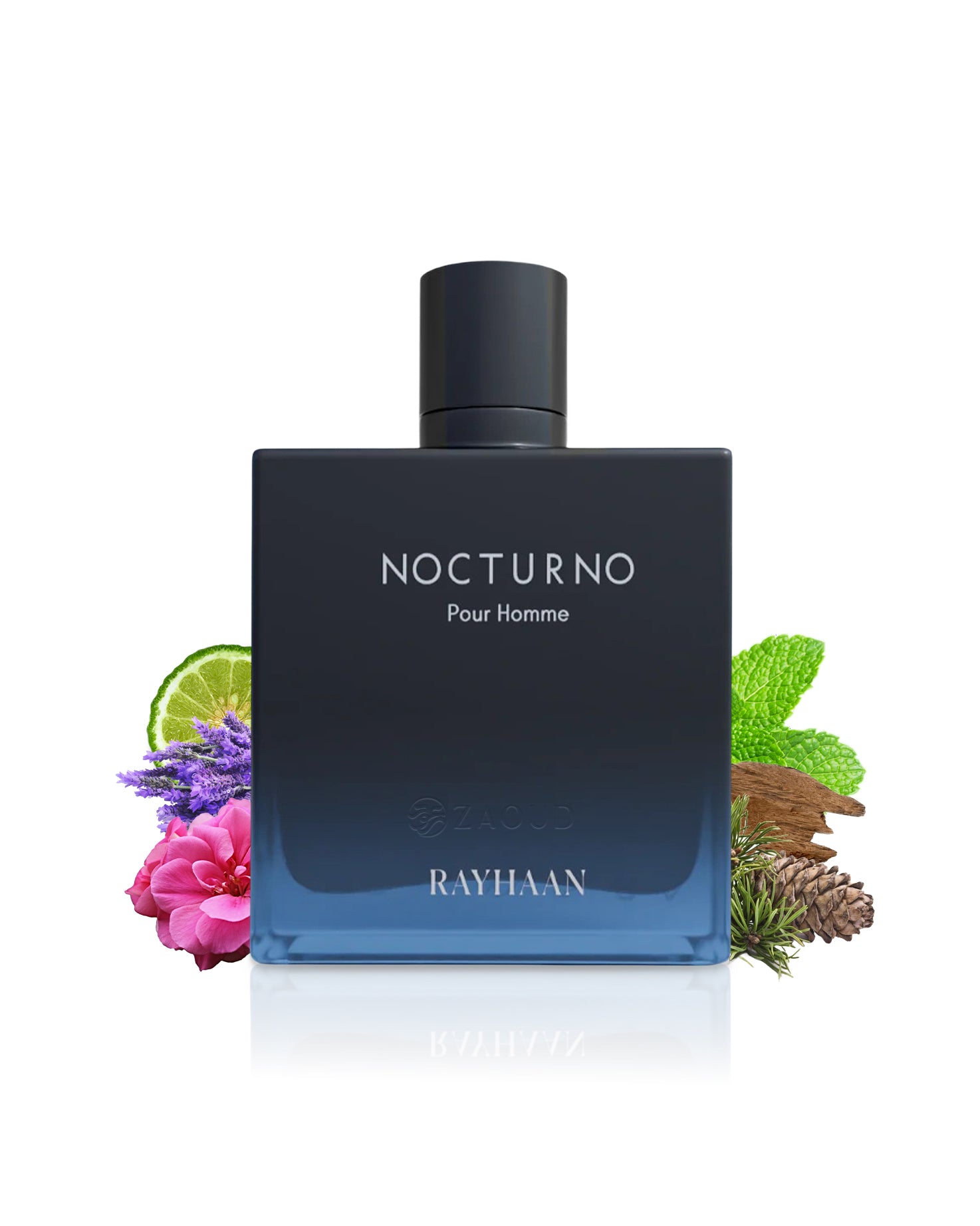 rayhaan nocturno pour homme perfume bottle surrounded by fragrance notes shows against white background