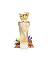 riiffs elyssia aura perfume bottle surrounded by fragrance notes like cinnamon and coffee shows against white background