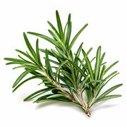 Rosemary fragrance note