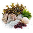 Sea Notes fragrance note