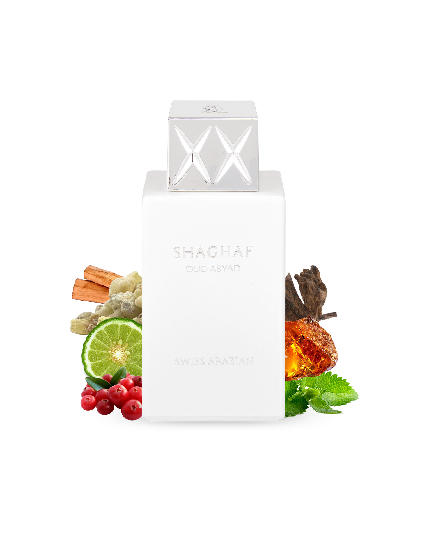 SHAGHAF OUD ABYAD EDP 75ML - SWISS ARABIAN Perfumes