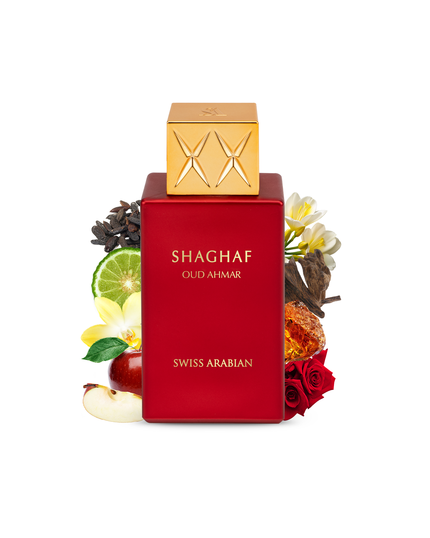 shaghaf oud ahmar by swiss arabian perfume bottle surrounded with its ingredients like apple and rose shows from behind the bottle against white background