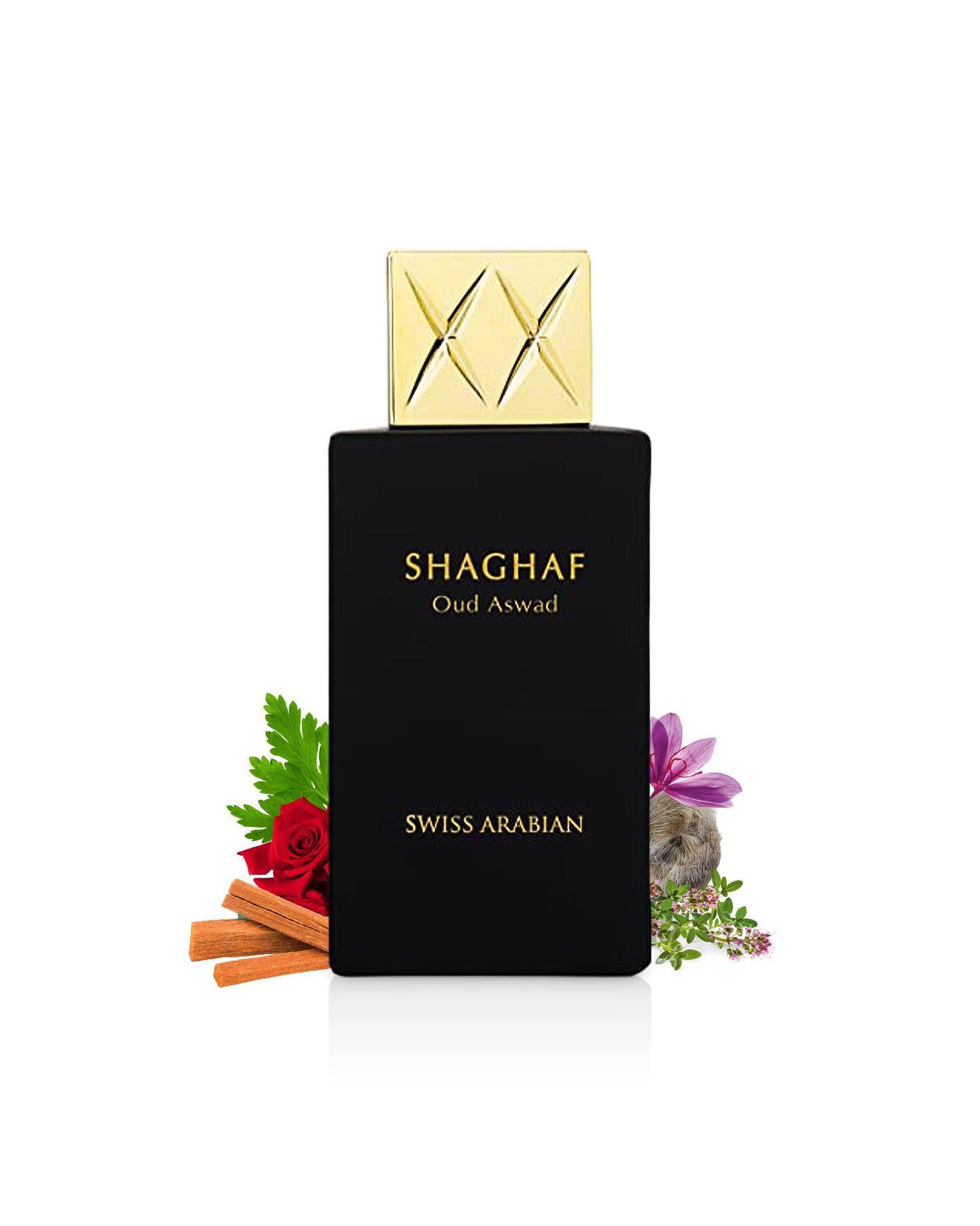 shaghaf oud aswad by swiss arabian perfume bottle surrounded with rose and saffron shows from behind the botttle against white background