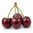 Sour Cherry fragrance note