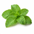 Spearmint fragrance note