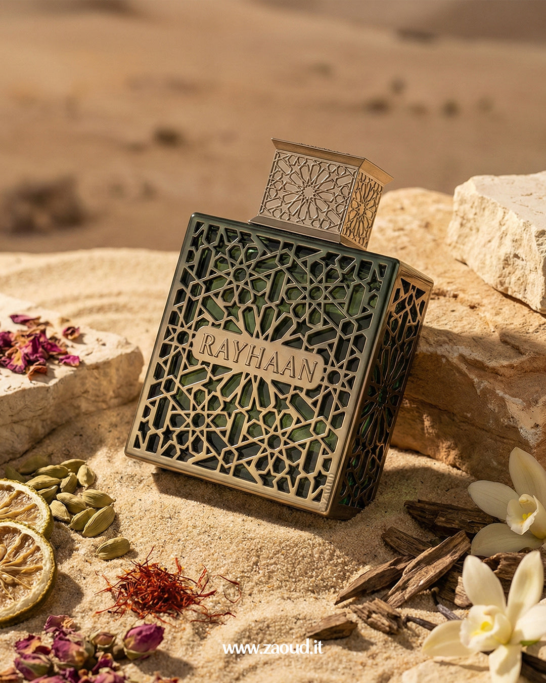 TERRA Rayhaan Edp 100ML