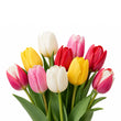 Tulip fragrance note