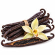 Vanilla Bean fragrance note