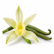 Vanilla Orchid fragrance note