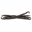 Vanilla Pod fragrance note