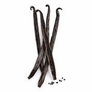 Vanilla fragrance note
