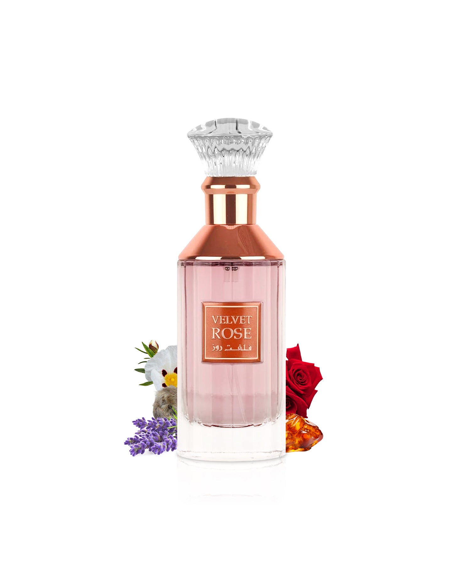 velvet rose by lattafa perfumes bottle surrounded with its ingredients like rose and amber with many others shows behind the bottle against white background