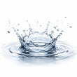 Watery Notes fragrance note