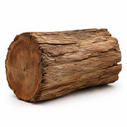 Woodsy Notes fragrance note