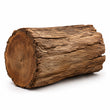 Woody notes fragrance note